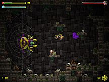 Adventure Apes and the Mayan Mystery