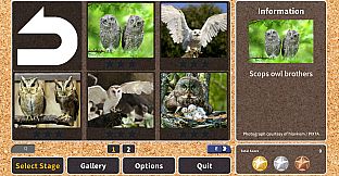 Jigsaw Masterpieces : Owl