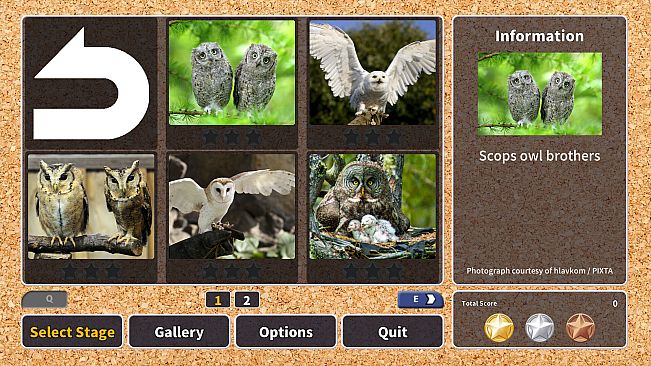 Jigsaw Masterpieces : Owl