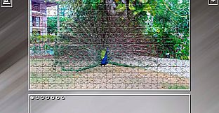 Super Jigsaw Puzzle: Generations - Dominican Republic