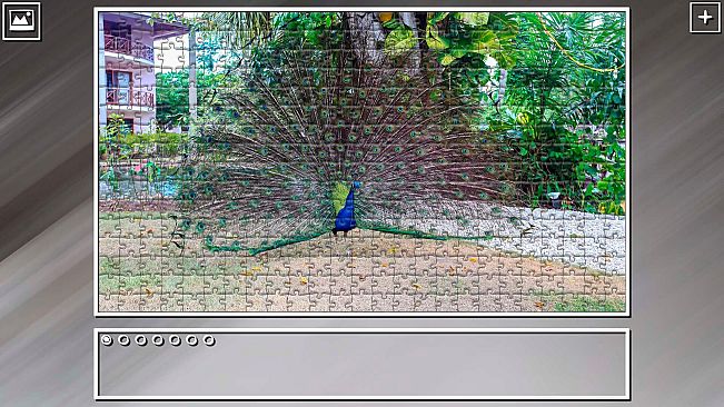 Super Jigsaw Puzzle: Generations - Dominican Republic