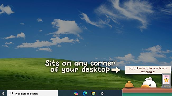 Burgie's cozy kitchen