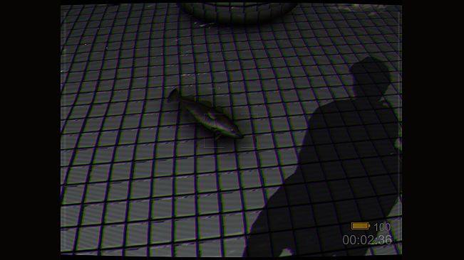 Backrooms: Poolrooms