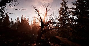 Dwelling on the Hill