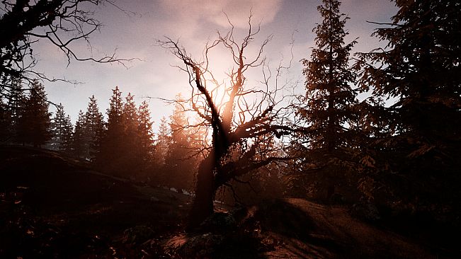 Dwelling on the Hill