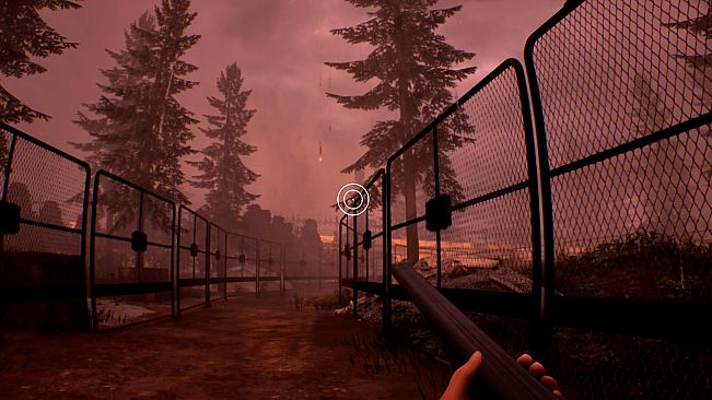 Into the Fold - Nala Junction