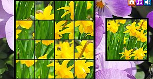 OG Puzzlers: Spring 2K24