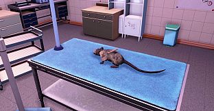 Animal Shelter 2 - Little Friends DLC