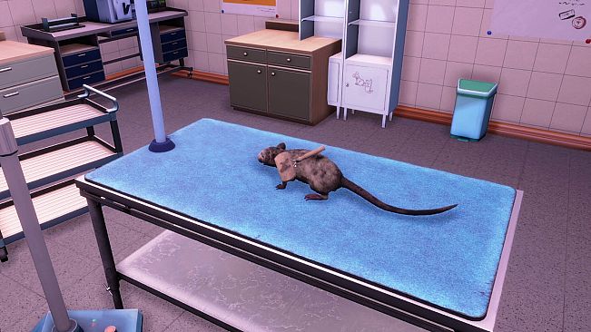 Animal Shelter 2 - Little Friends DLC