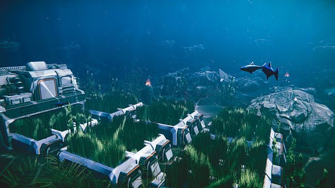 Seabed Settlers