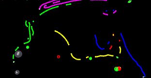 GGG Collection - Screenloopers