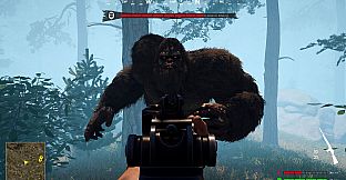 Bigfoot Hunting
