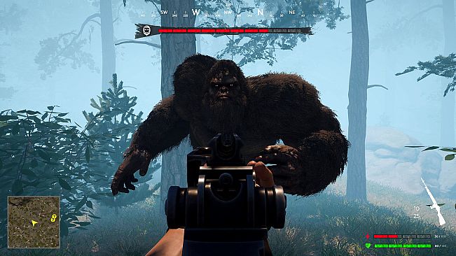 Bigfoot Hunting