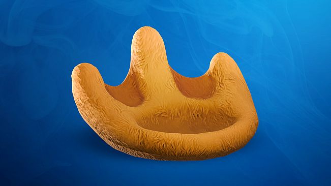 DUCKSIDE - First Flight