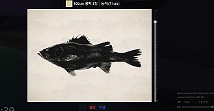 DreamFisher