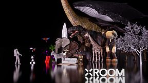 XROOM