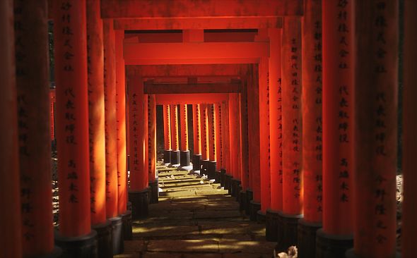 Lushfoil Photography Sim