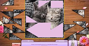 I Love Finding MORE Cats Collector's Edition