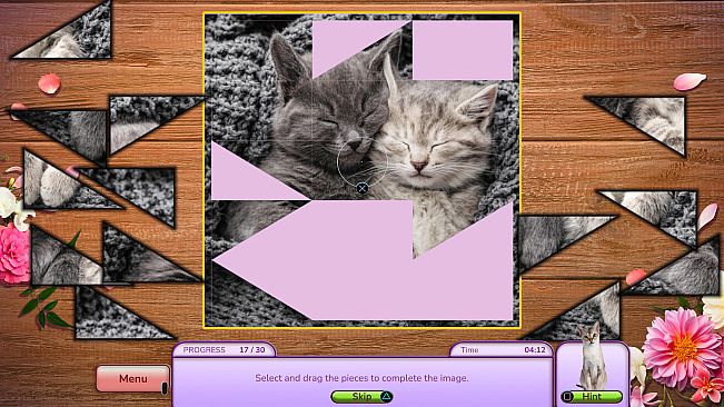 I Love Finding MORE Cats Collector's Edition