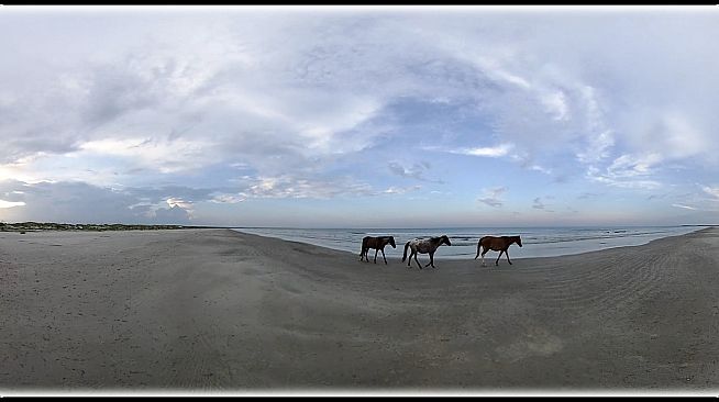 Exhale XR - Time Travel - Guided Meditation