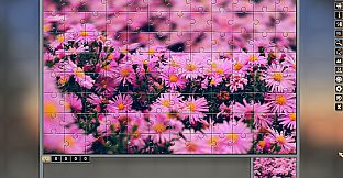 Pixel Puzzles Traditional Jigsaws Pack: Variety Pack 10