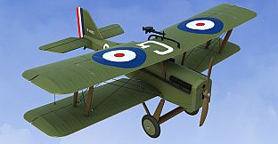 RealFlight Evolution - 2025 Year Content Pass