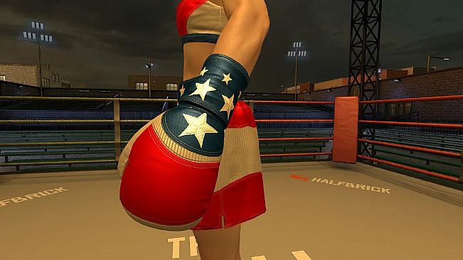 The Thrill Of The Fight 2 - 4th of July Gloves