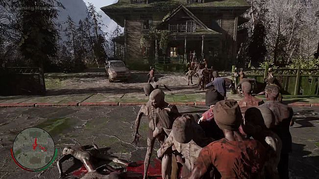 The Dead