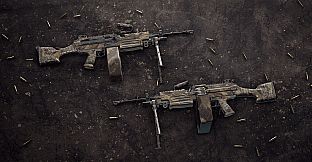 Insurgency: Sandstorm - Endurance Weapon Skin Set