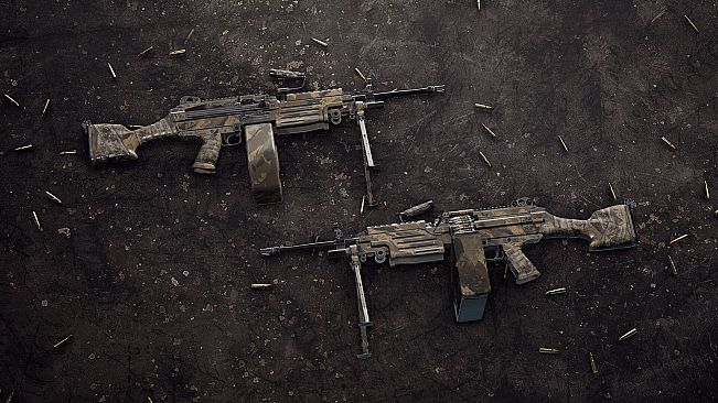 Insurgency: Sandstorm - Endurance Weapon Skin Set