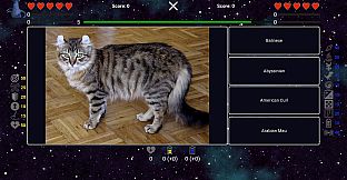 I've Seen Everything - Cats