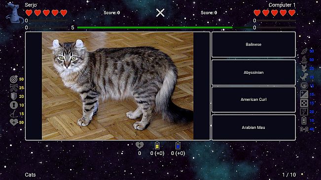 I've Seen Everything - Cats