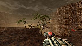 Turok
