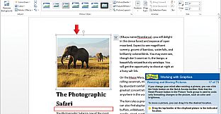 Professor Teaches Word 2013 & 365