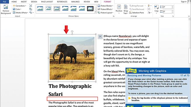 Professor Teaches Word 2013 & 365