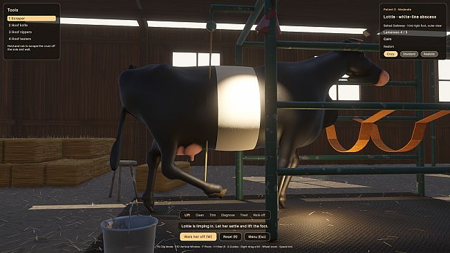 Hoof Trimmer Simulator