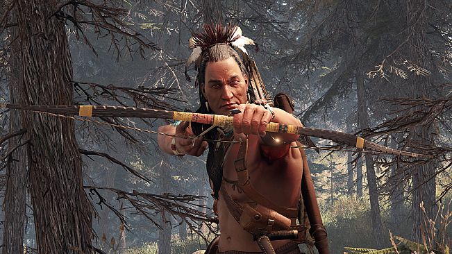 This Land Is My Land