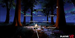Playne VR