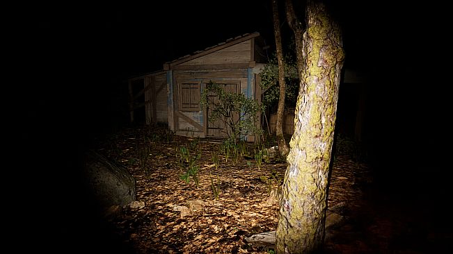 The 9th Station of M.t...