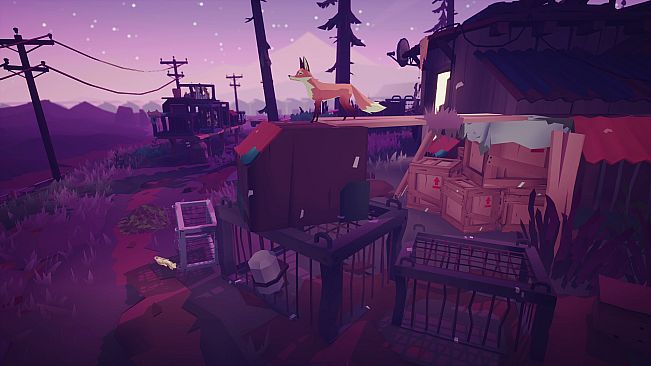 4-in-1 Award Winning Bundle