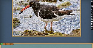 Jigsaw Puzzle Pack - Pixel Puzzles Ultimate: PP2 Birds