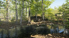 Camping Vlog Simulator 2024