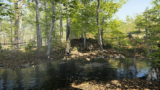 Camping Vlog Simulator 2024