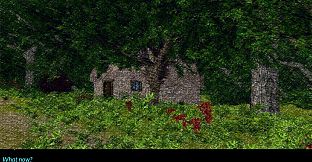 The Eye Of Borrack - Tangled Tales