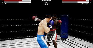 Boxing Simulator
