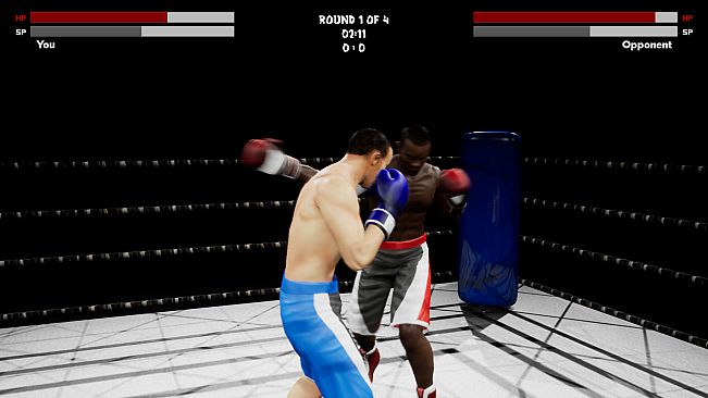 Boxing Simulator