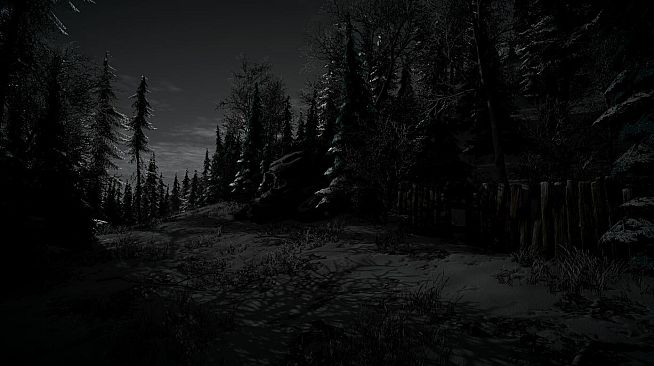 My Grandparents' Christmas Mystery