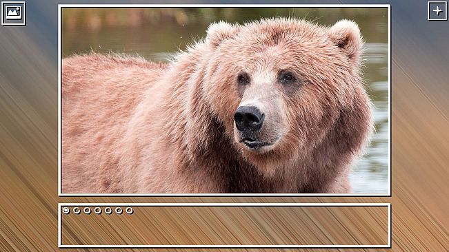 Super Jigsaw Puzzle: Generations - Bears Puzzles