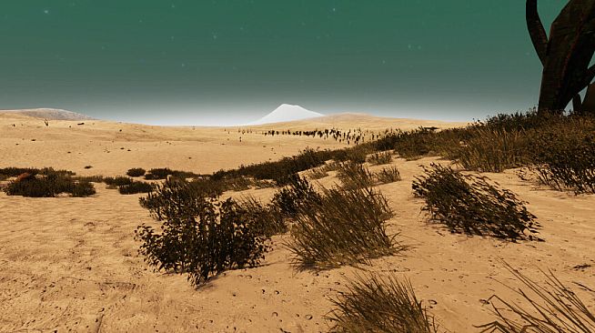 Create Your Own Universe