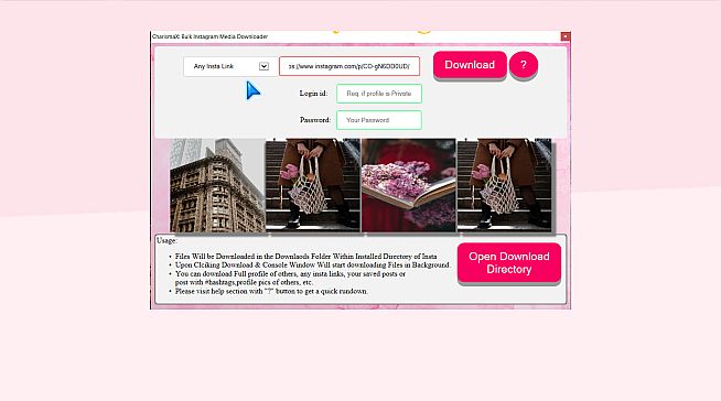 Charisma X: Bulk Instagram Media Downloader